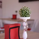 Starowiejska 3* راتشيبوش