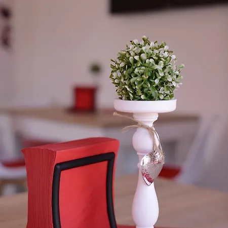 Starowiejska 3* 라시보르츠